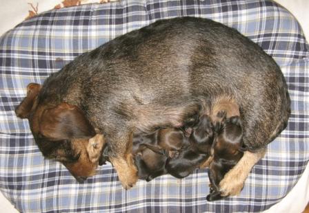 Paula mit Babies